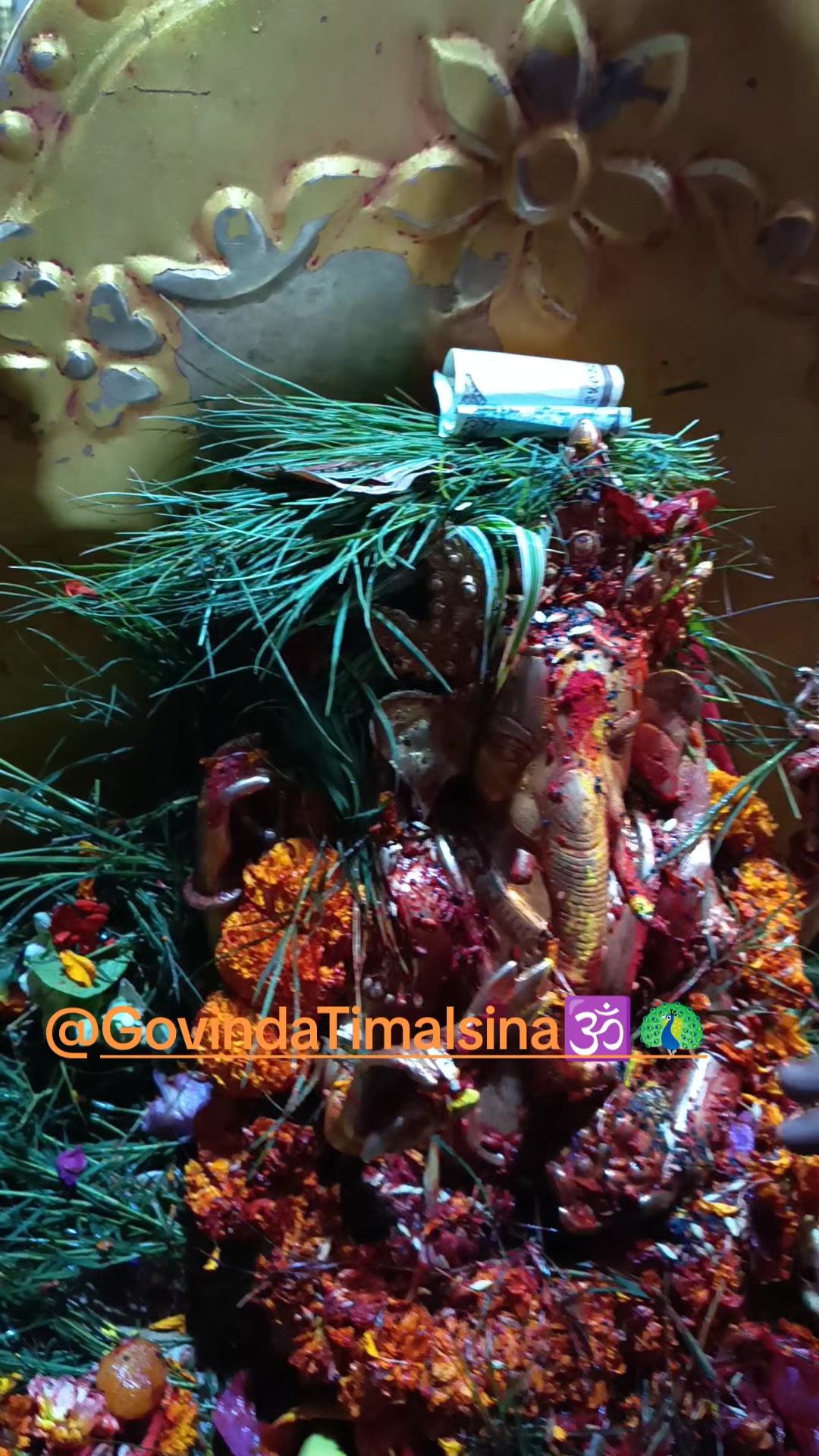 @Govinda Timalsina🕉🦚