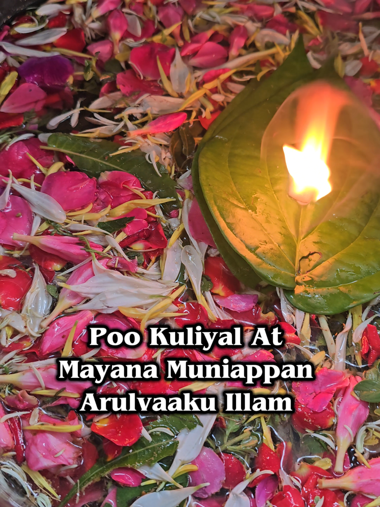 @MayanaMuniappan