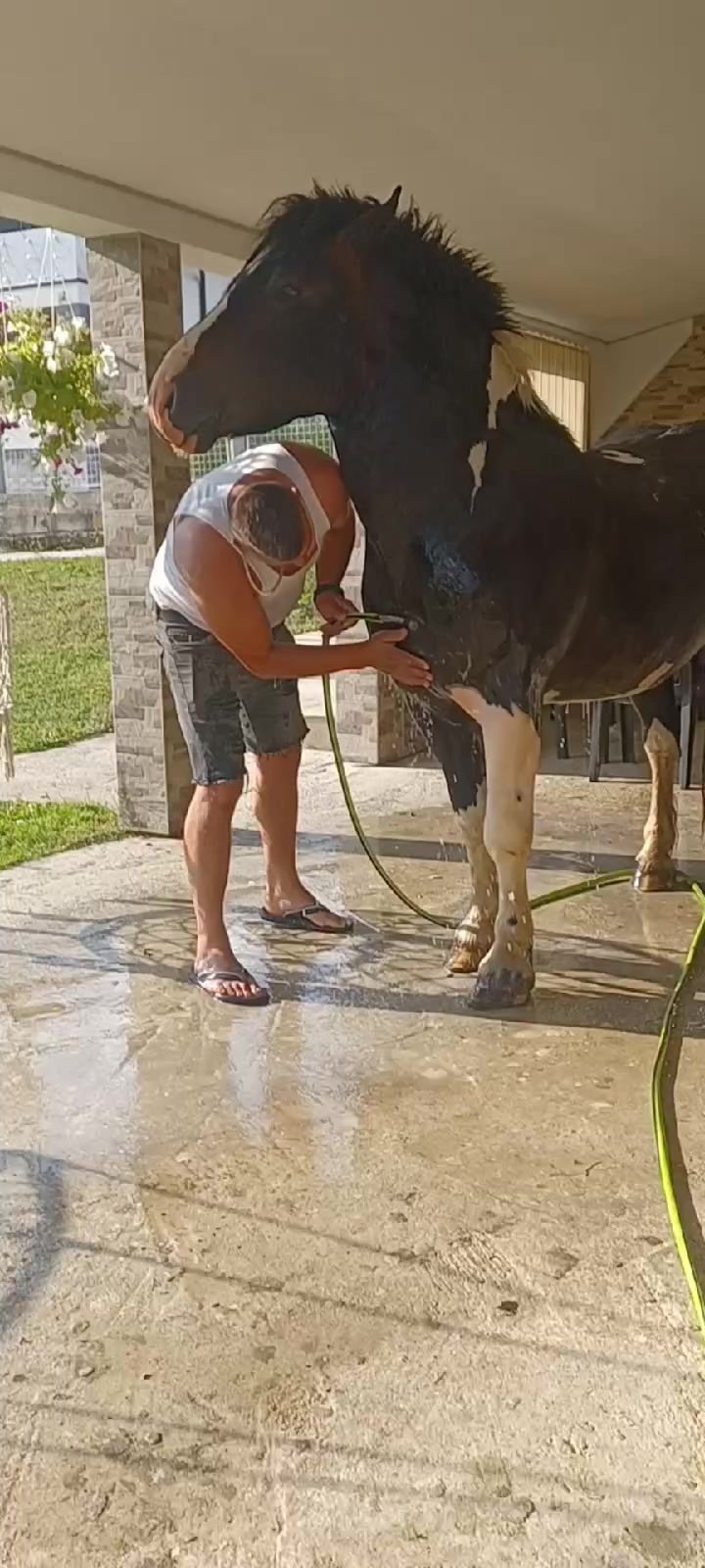 @Salko-Sokaća