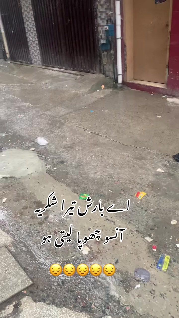 @foji sajjad