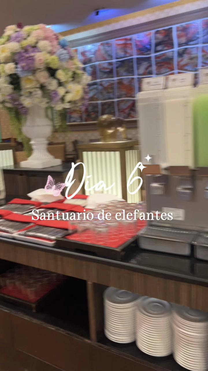 @yanethcastillomx