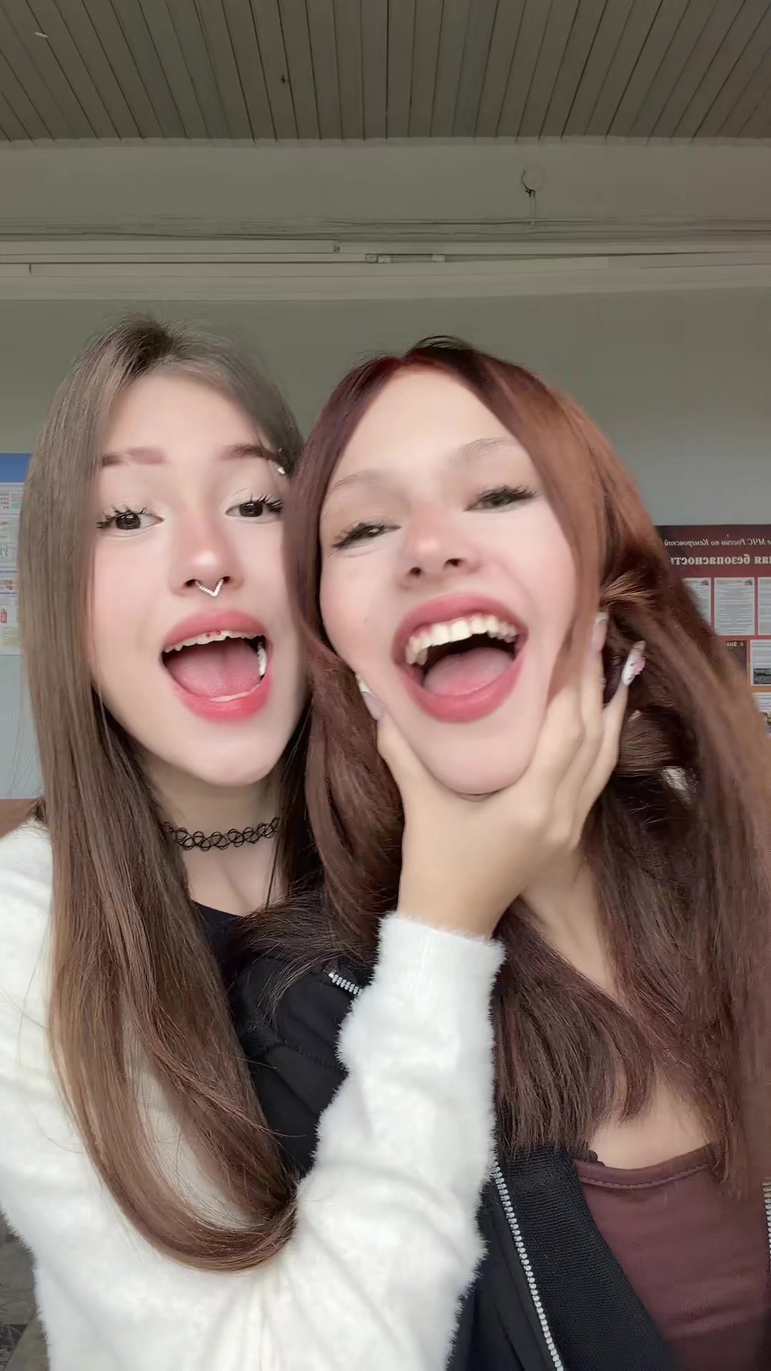@ᥫ᭡.ִֶтгк амелька стефано