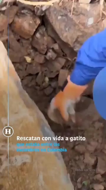 @Giselle C&eacute;spedes