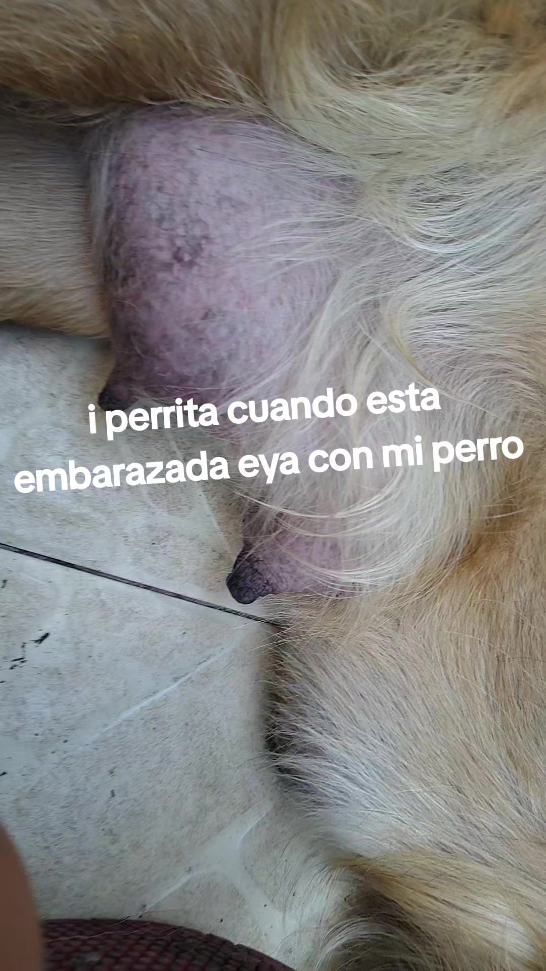 @Grabando mi hermano 67