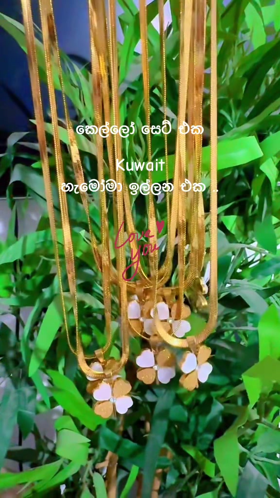 @දිසානායක