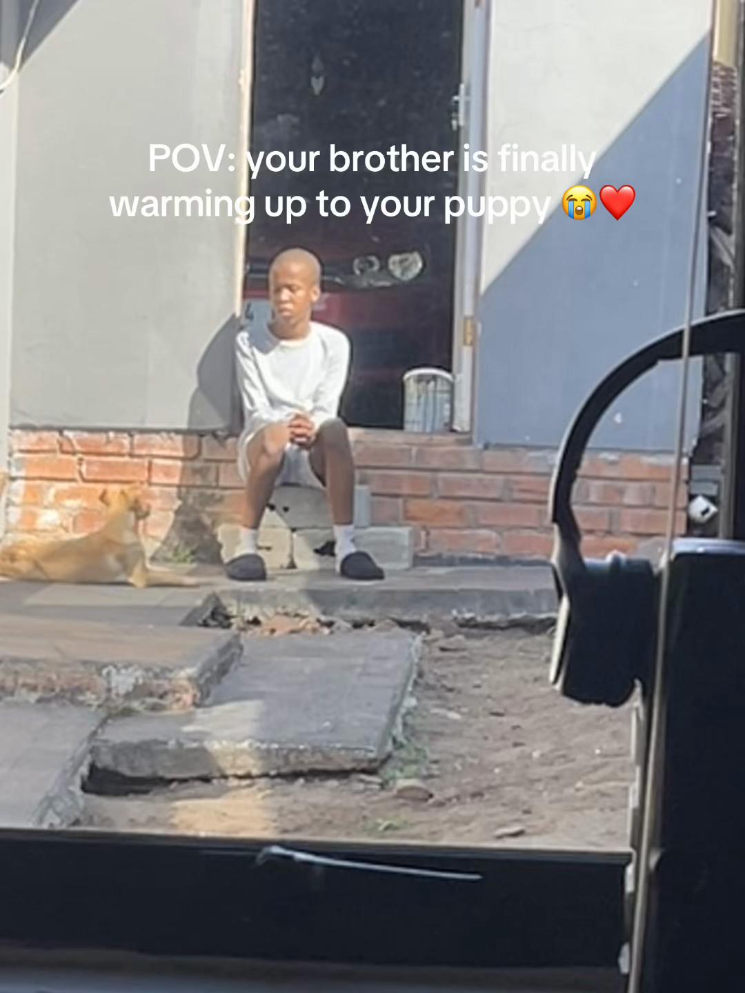 @likho lihlumelo maseti.