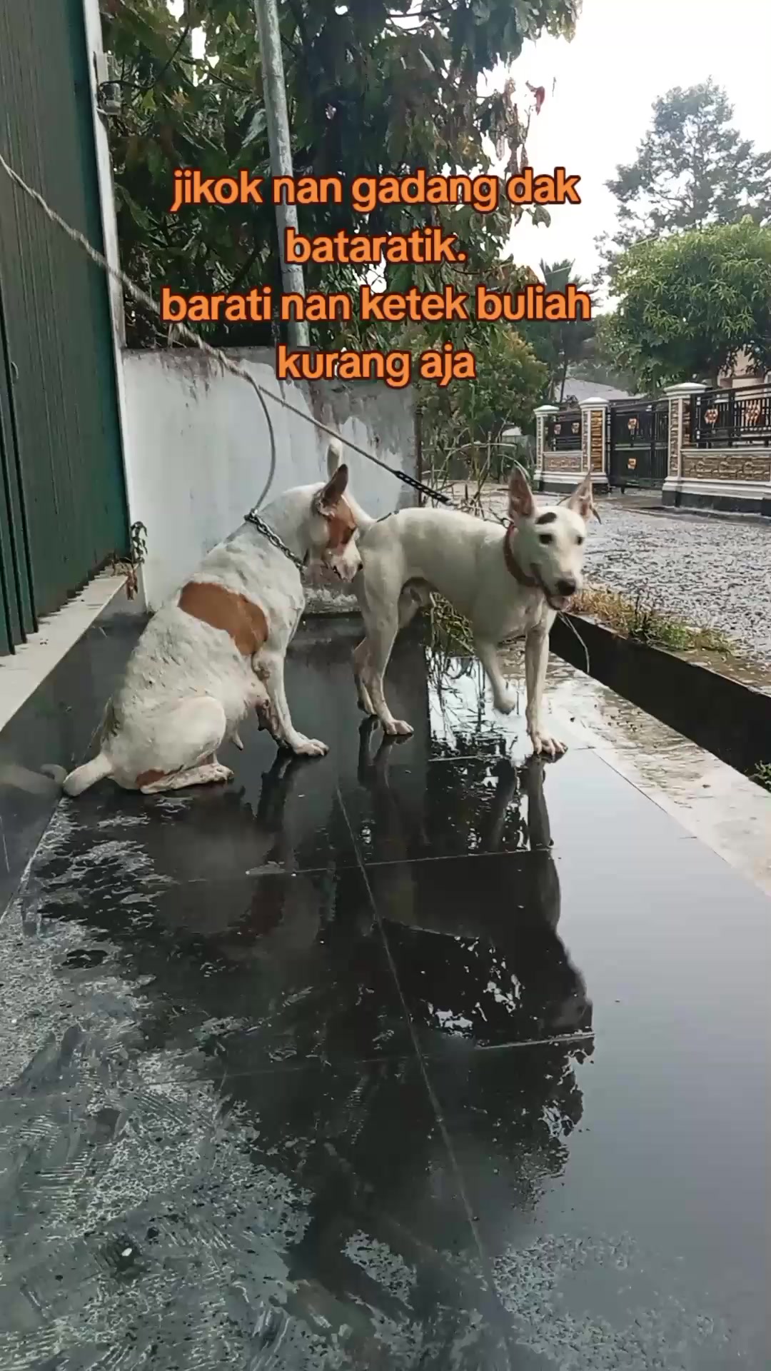 @Aldi nur