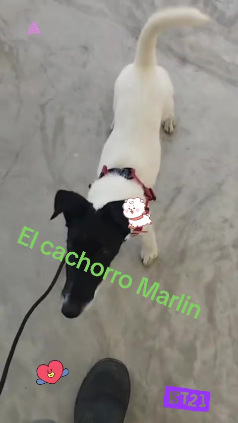 @❤️Ana Mireya Millán