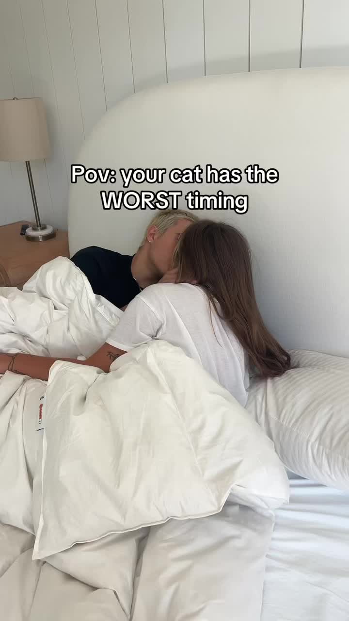 @Gavin Magnus