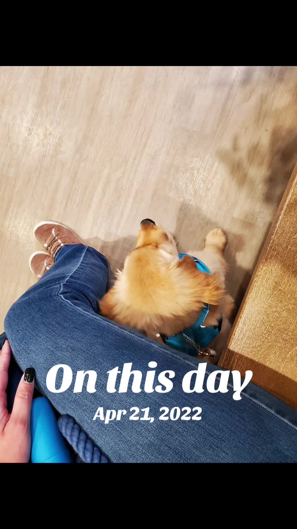 @Bearrito