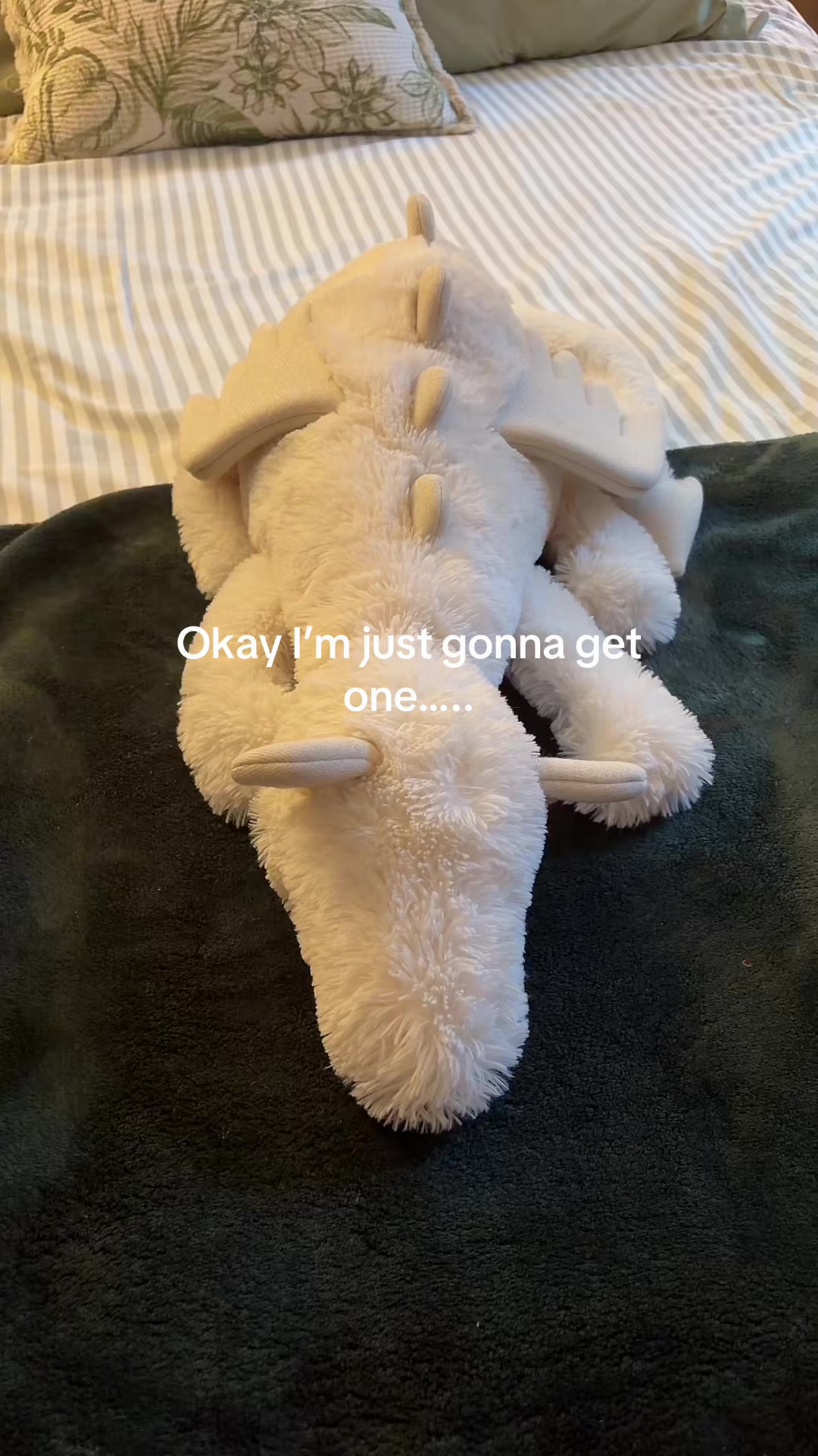 @Nelly