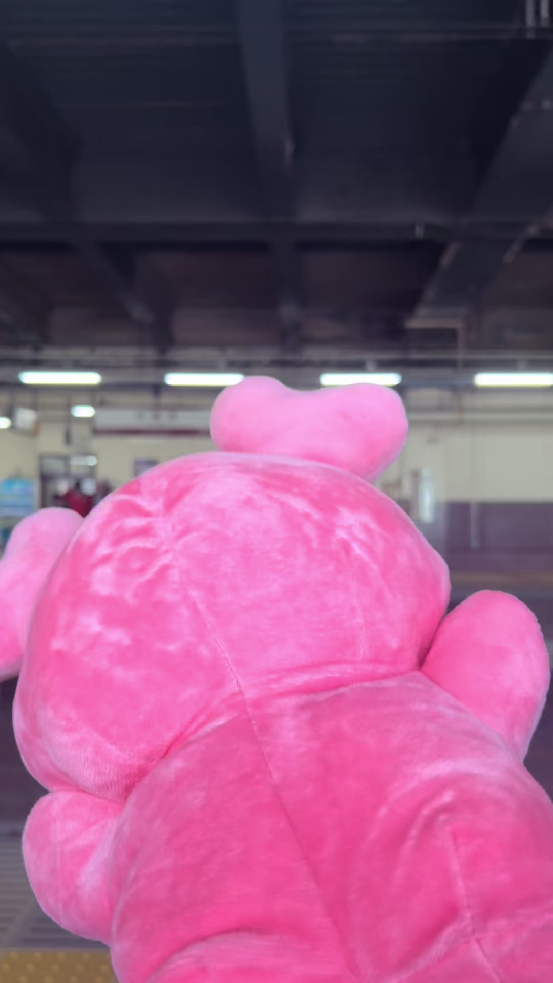 @ᵐⁱʸᵘ𐙚🍭