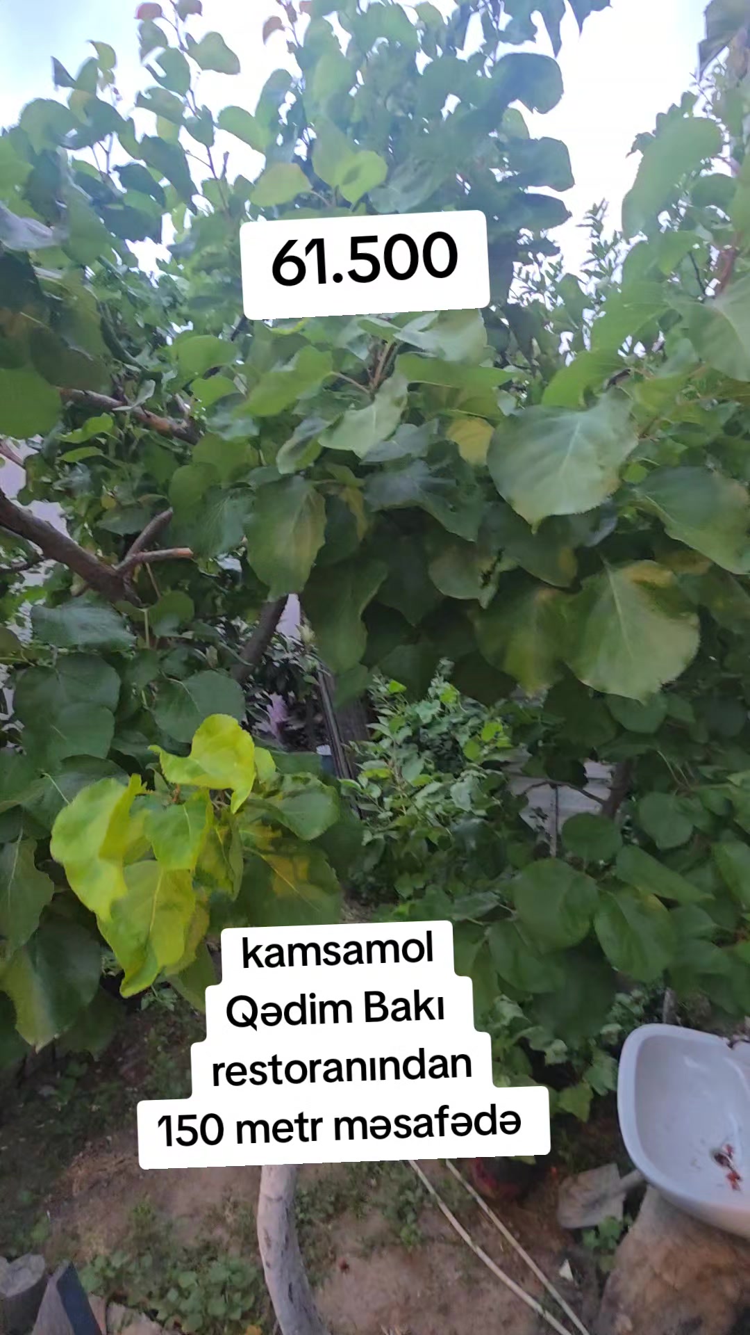 @emlak Aynure x 0507889786