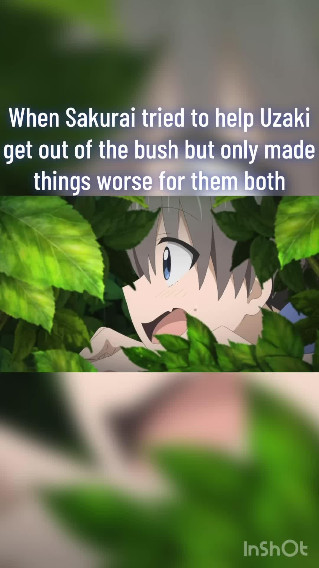 @dbz_editz1