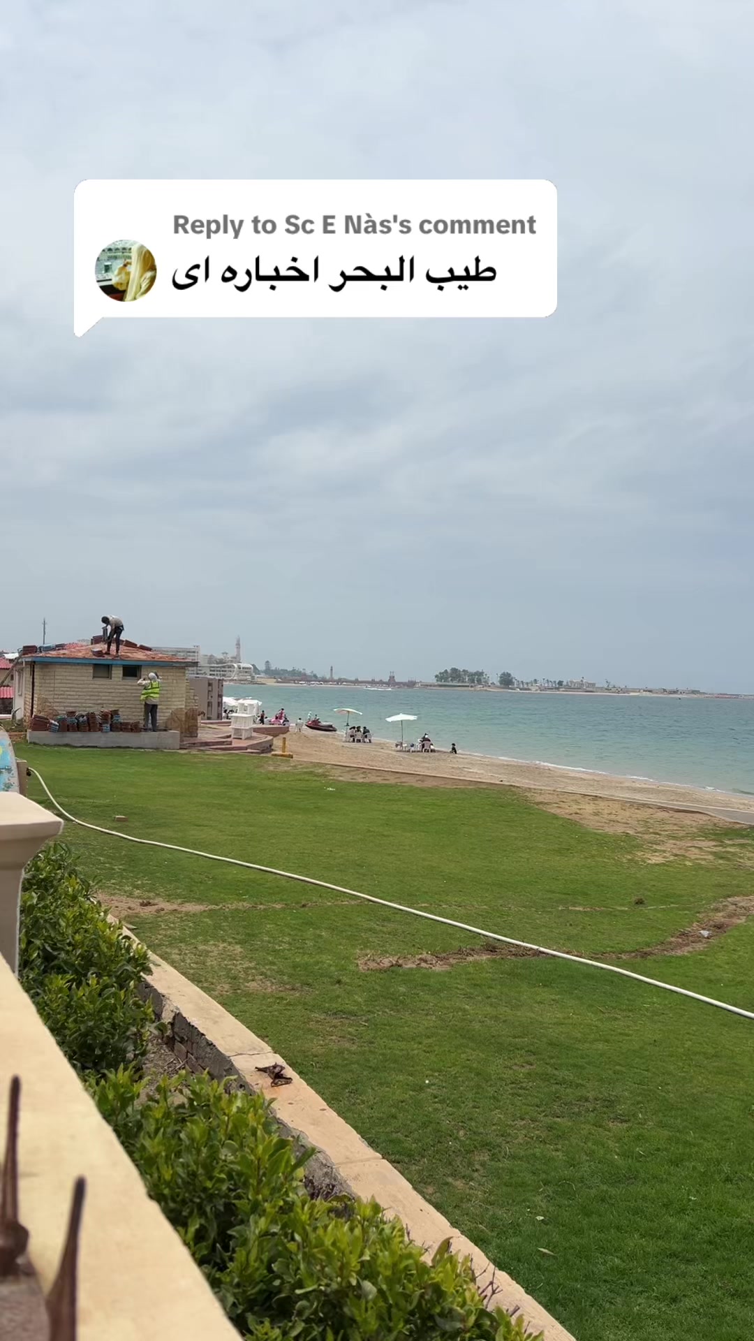 @Hala Ashraf