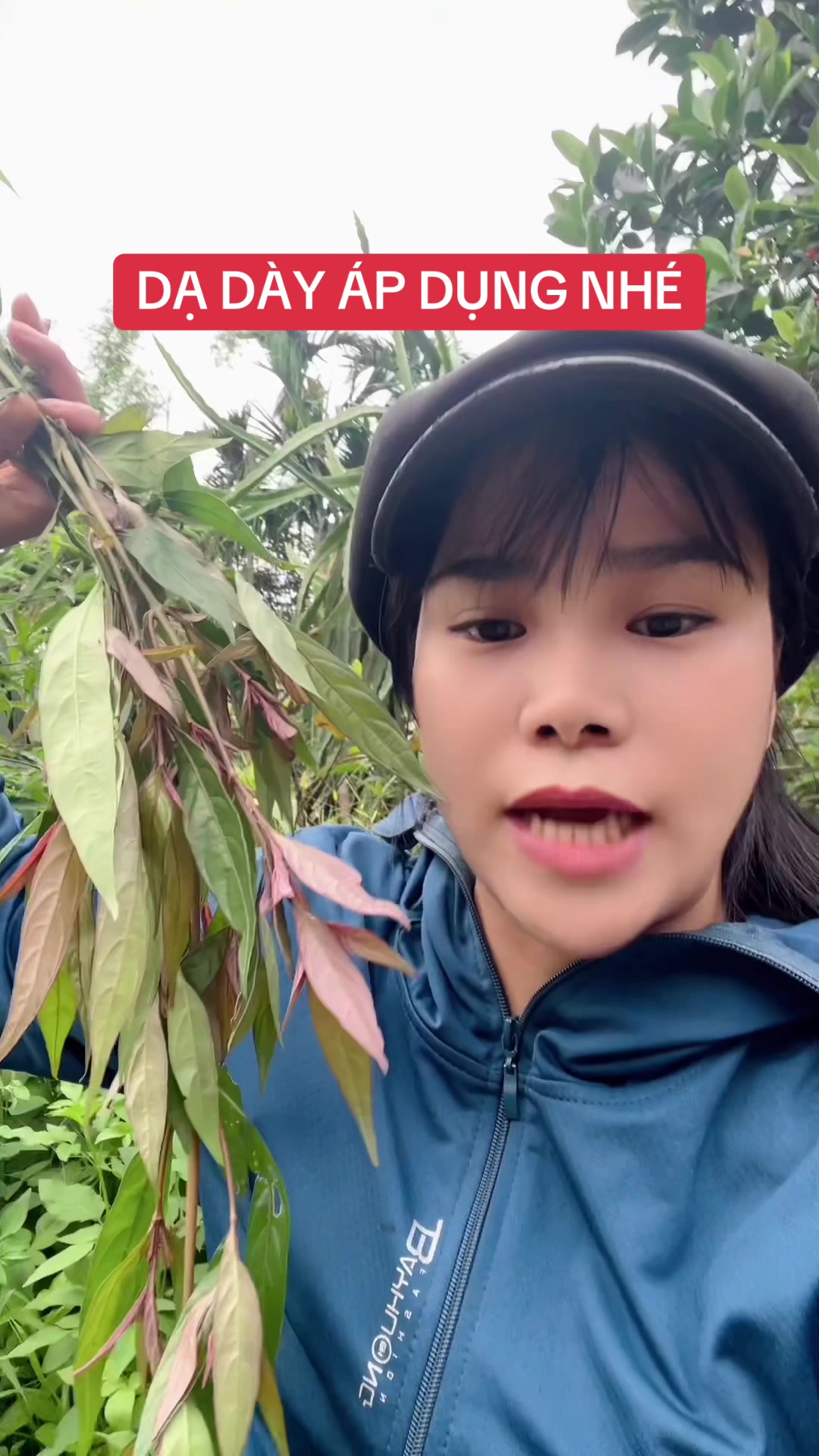 @Ngọc Chinh Miền N&uacute;i