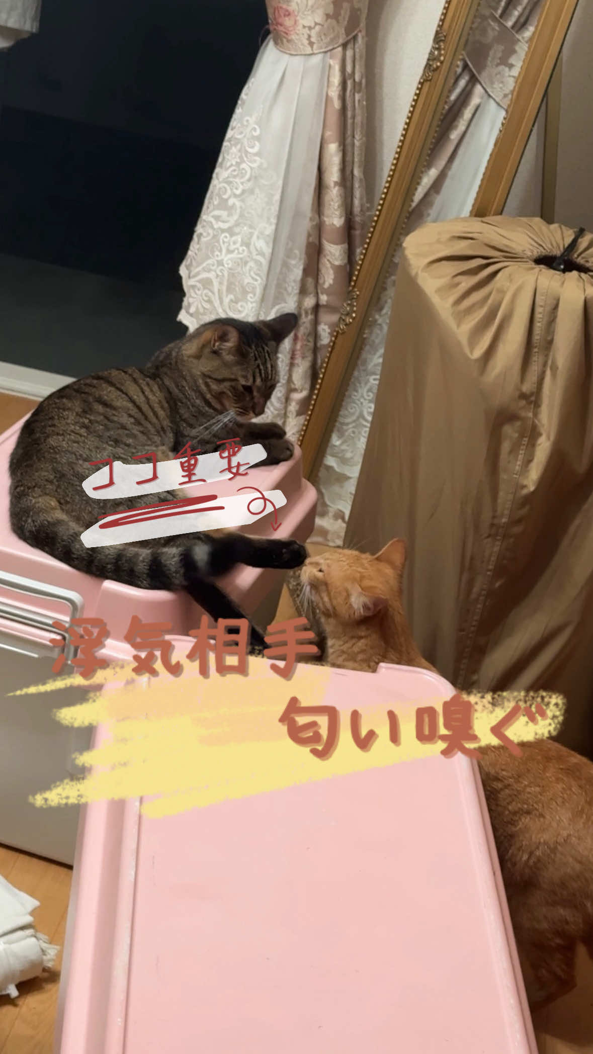 @さっことおちょ