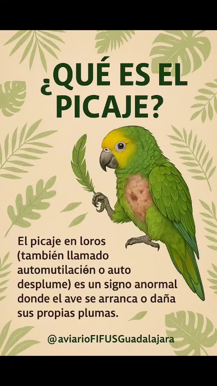 @Aviario FIFUS Guadalajara