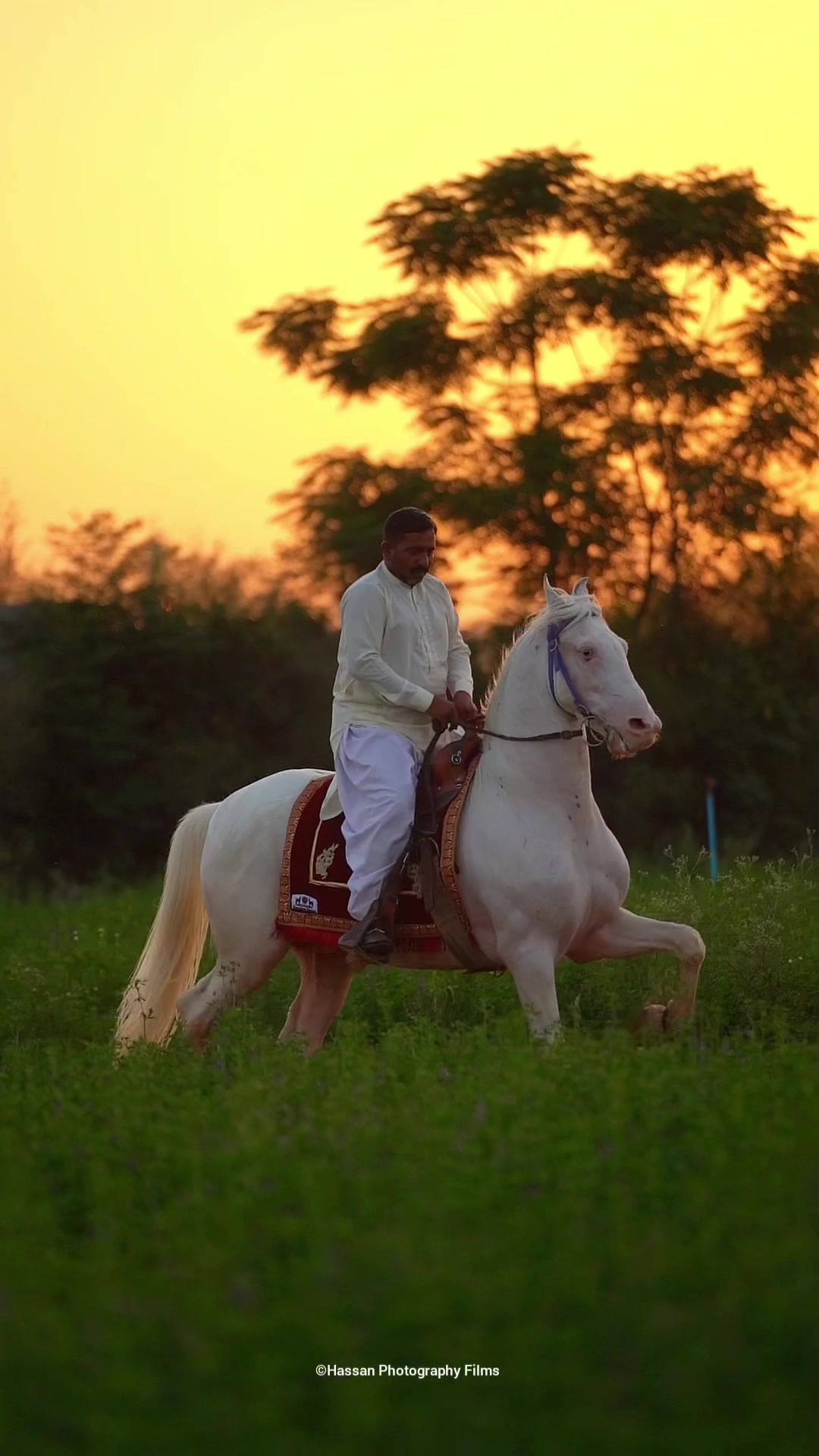 @SUNRISE STUD FARMS RAWALPINDI