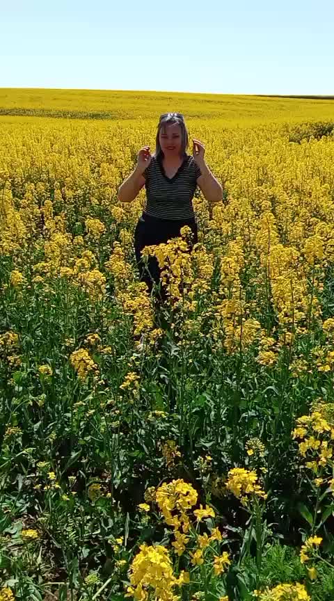 @sultan-gül 😀😎