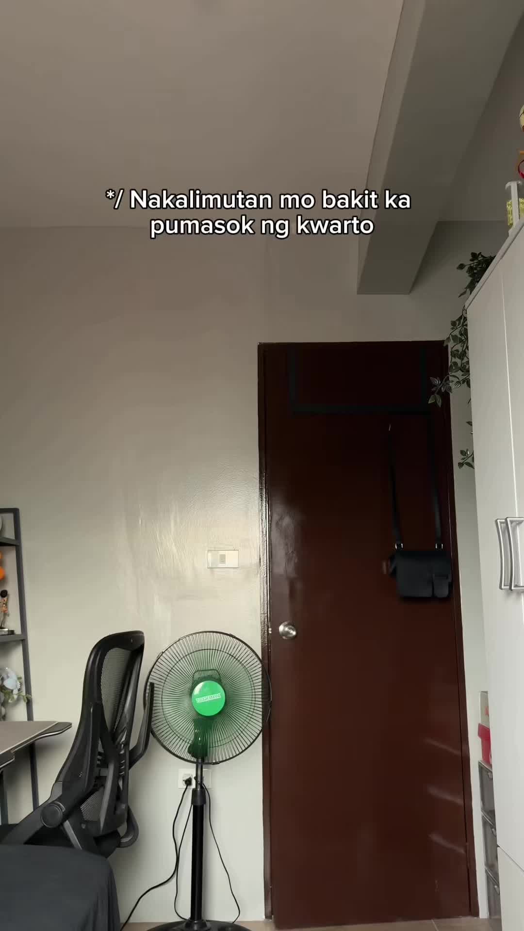@pritonghatdogs
