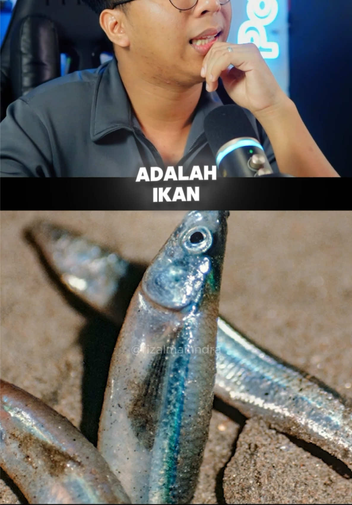 @Rizalmaihndra