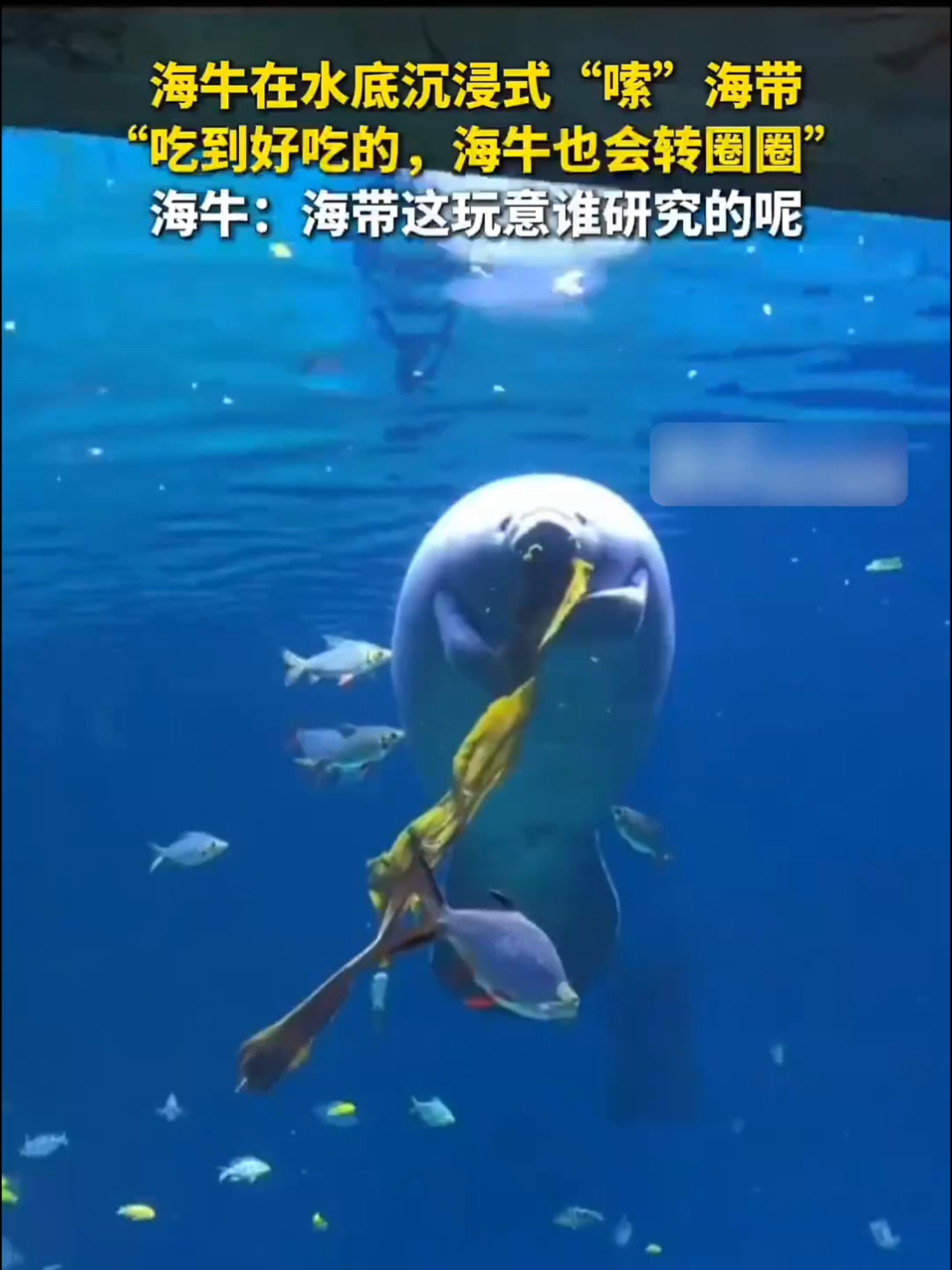 @闽南风～