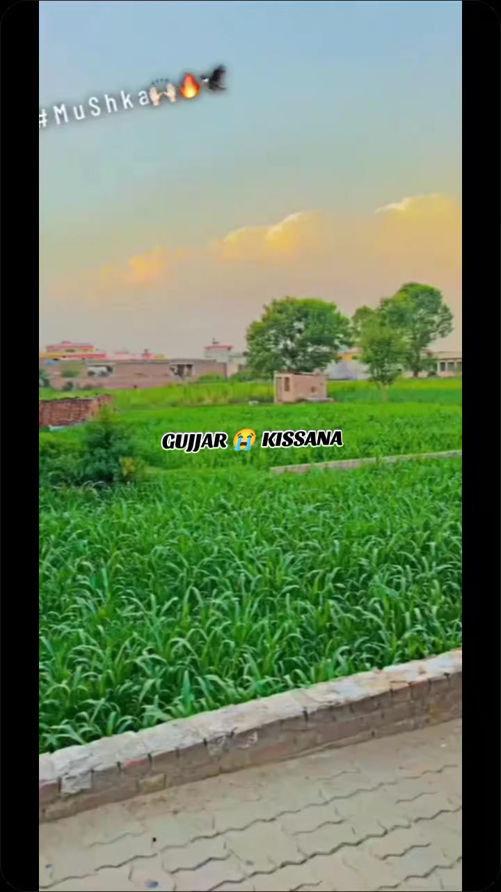 @𝐆𝐔𝐉𝐉𝐀𝐑 𝐊𝐈𝐒𝐒𝐀𝐍𝐀55