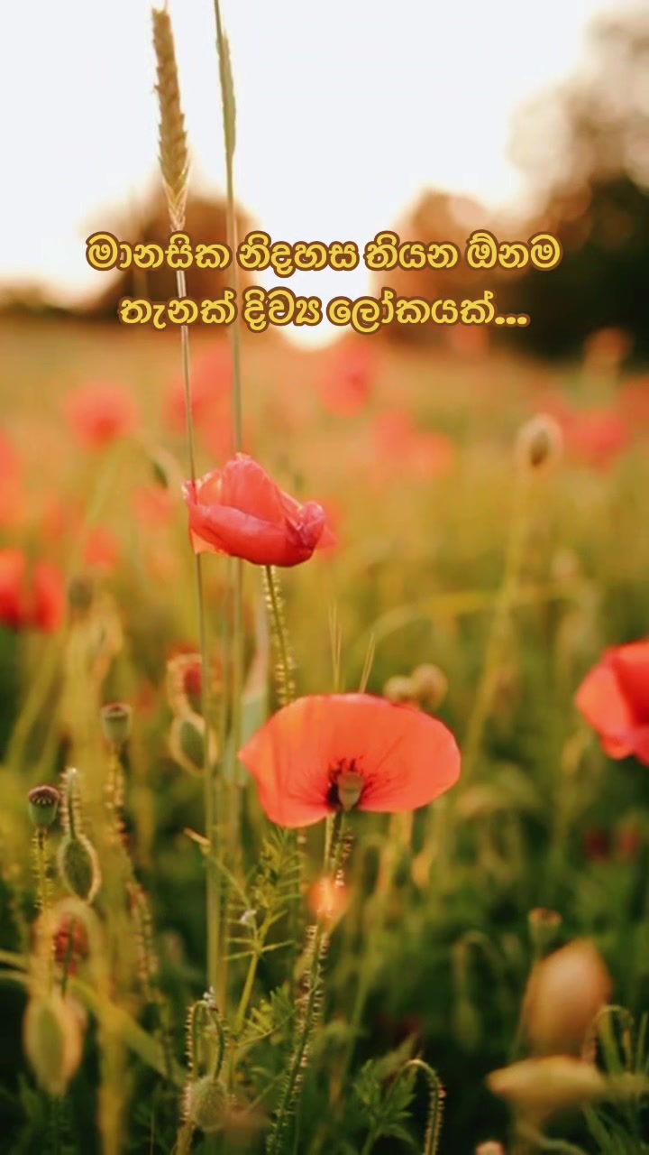 @Prasanna