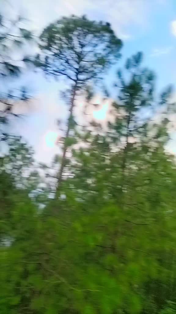 @dangaawalisarkar🏒🏑