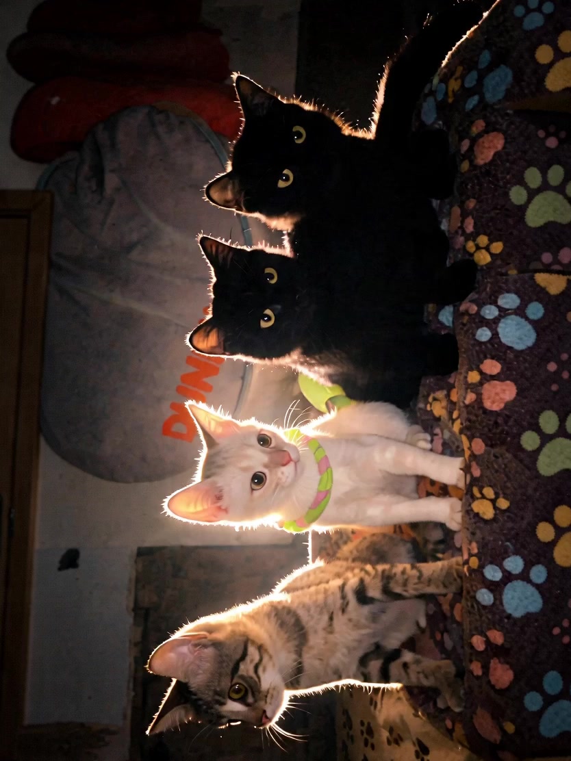 @Annsexxyyy