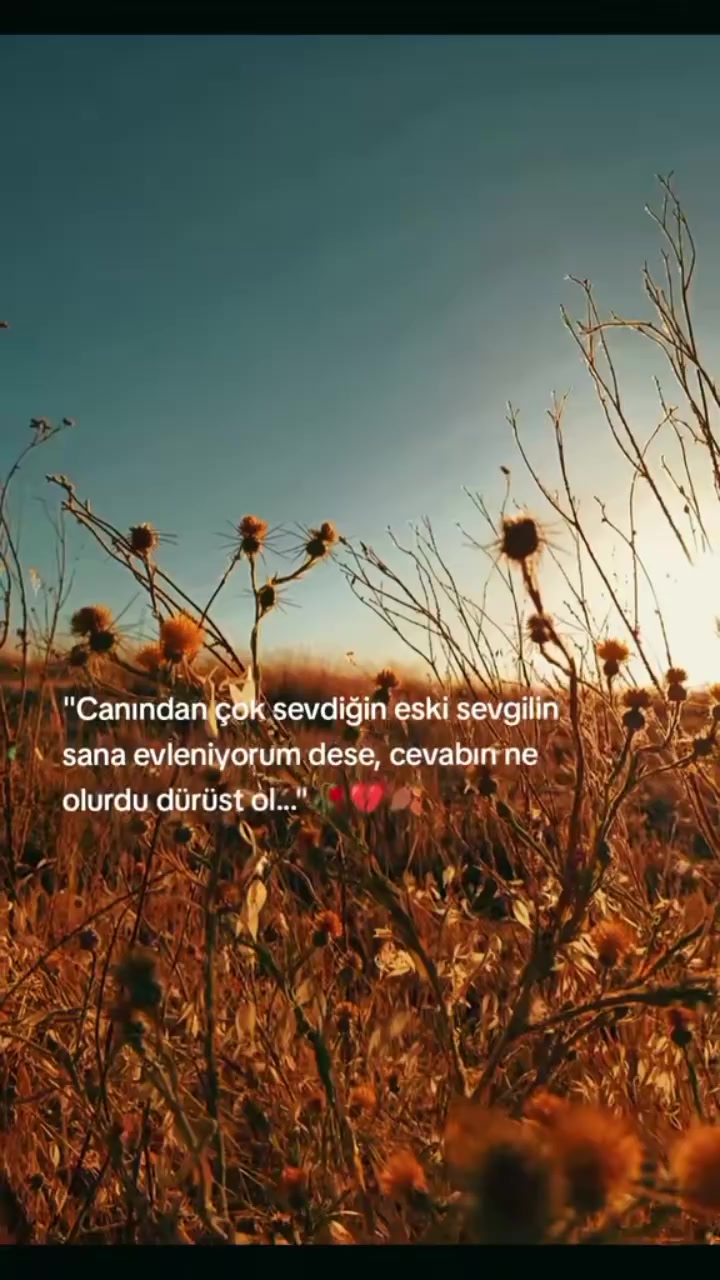 @mavig&ouml;l