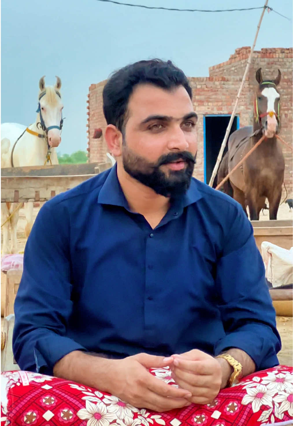 @Taimoor Shah