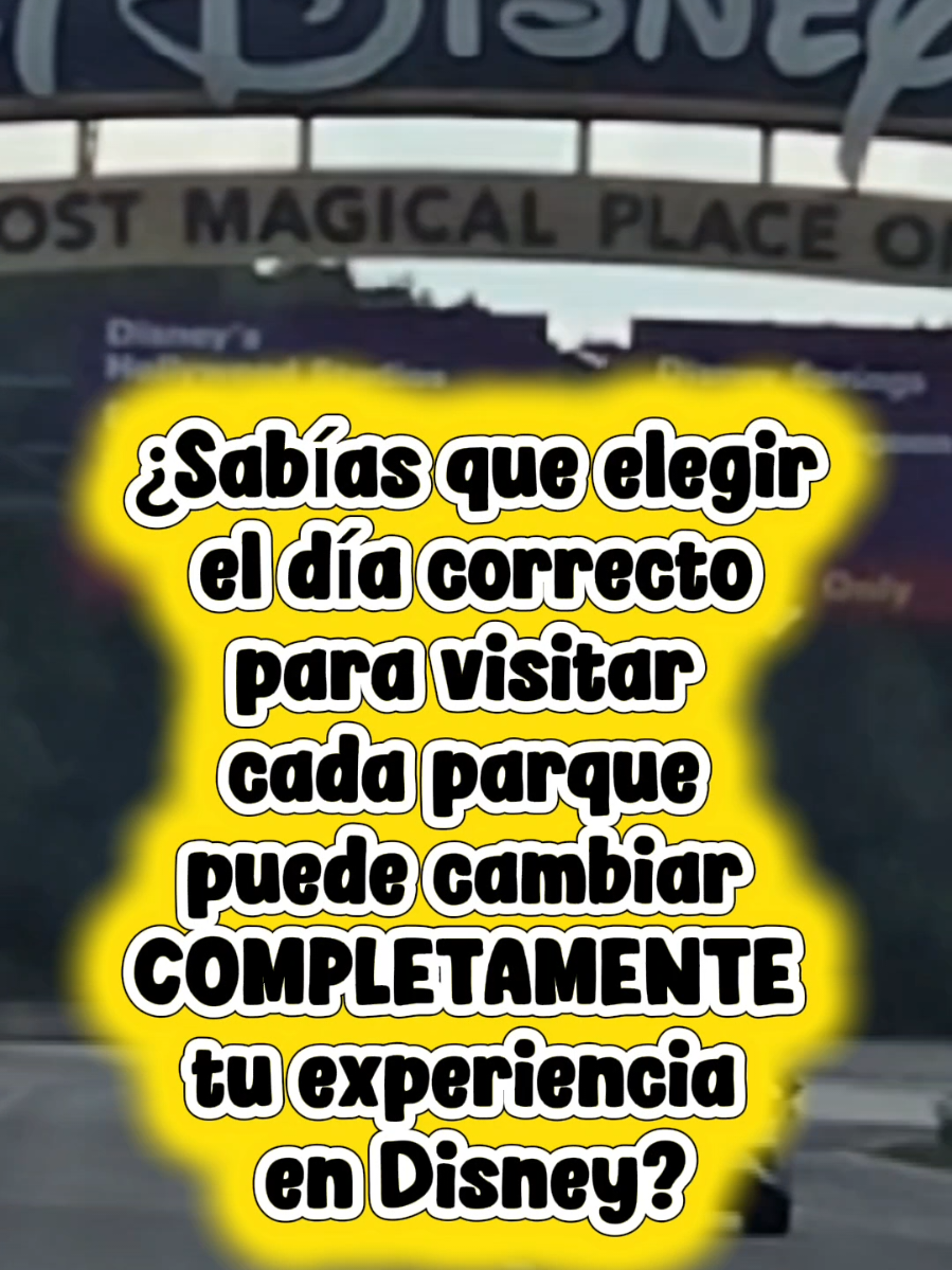 @Adelaida Mendoza