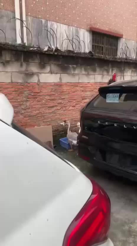 @Funny