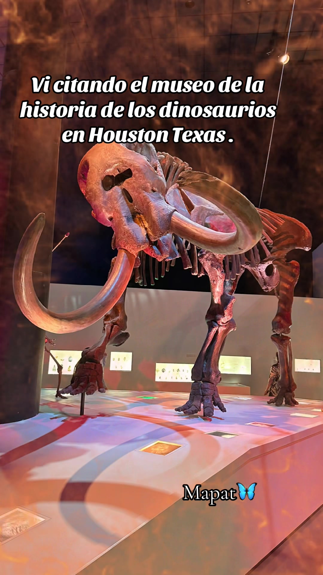 @Martha P. Betancourt Hernández
