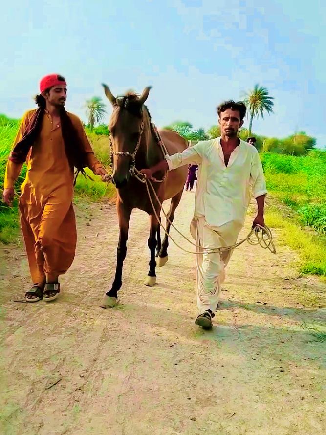 @❤️Zaheer shah ❤️
