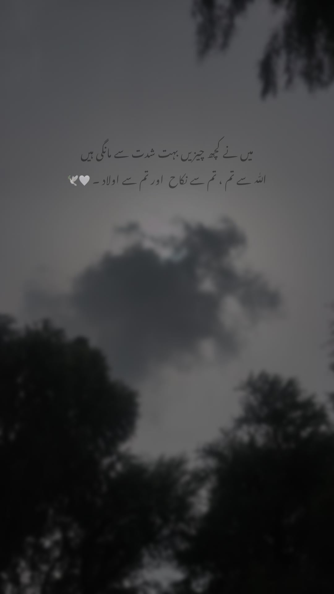 @علی