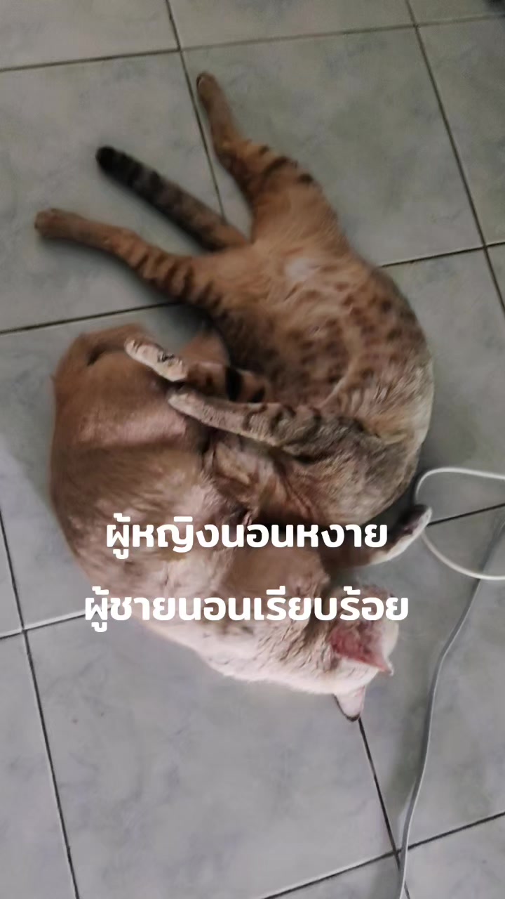 @คุณ L ศรี