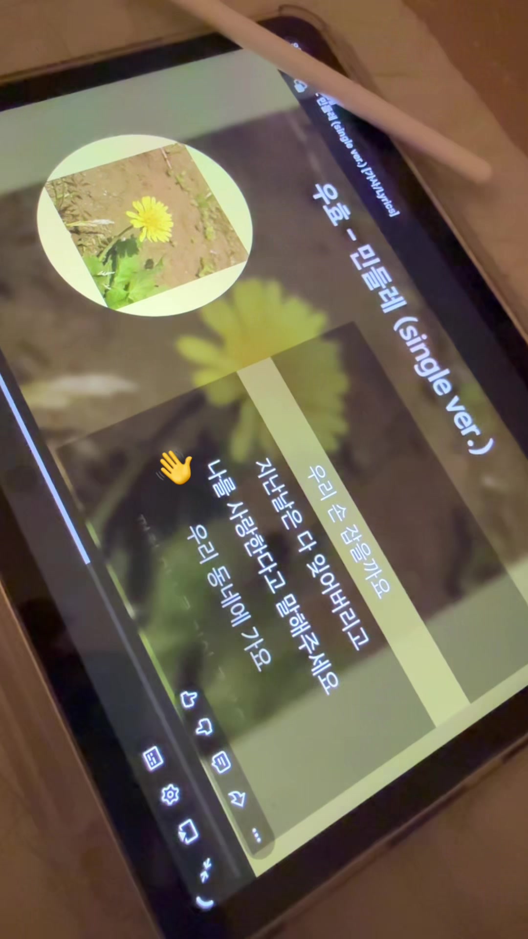 @so0xin_