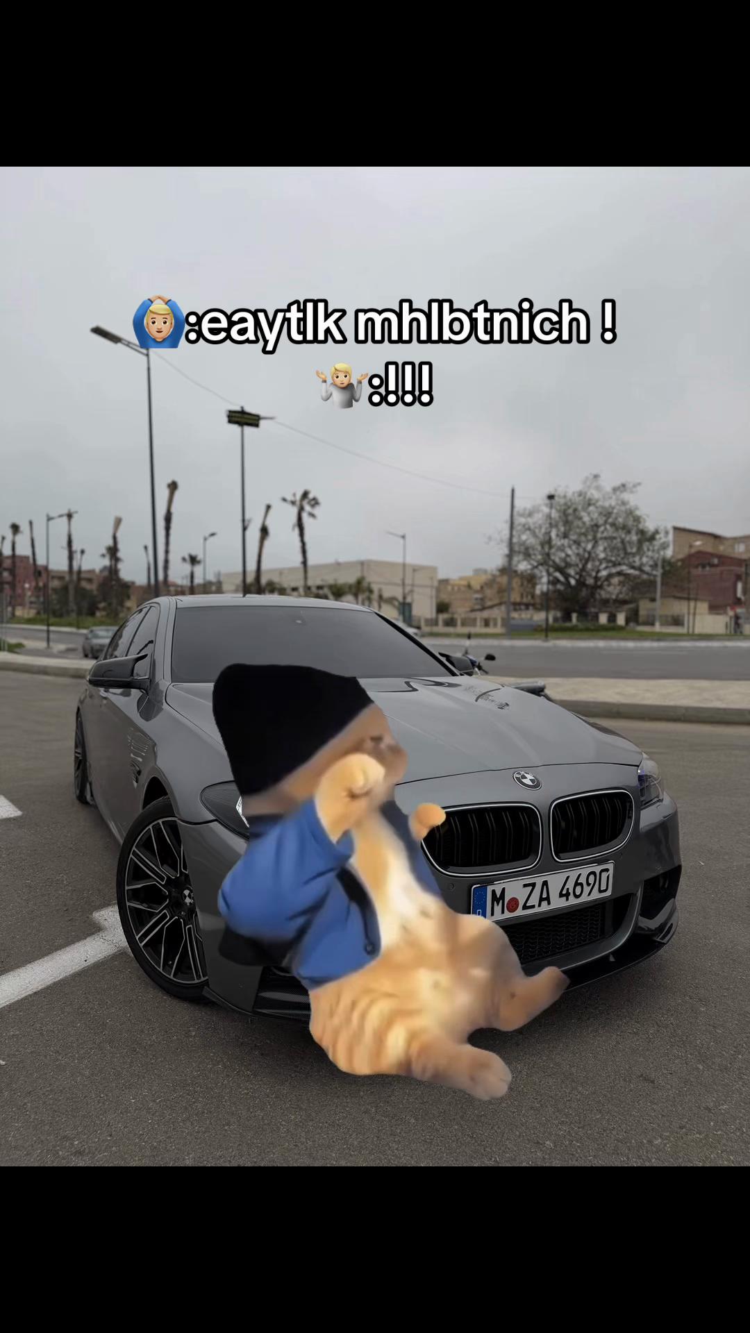 @Ayoub_Freedom🕊️✈️