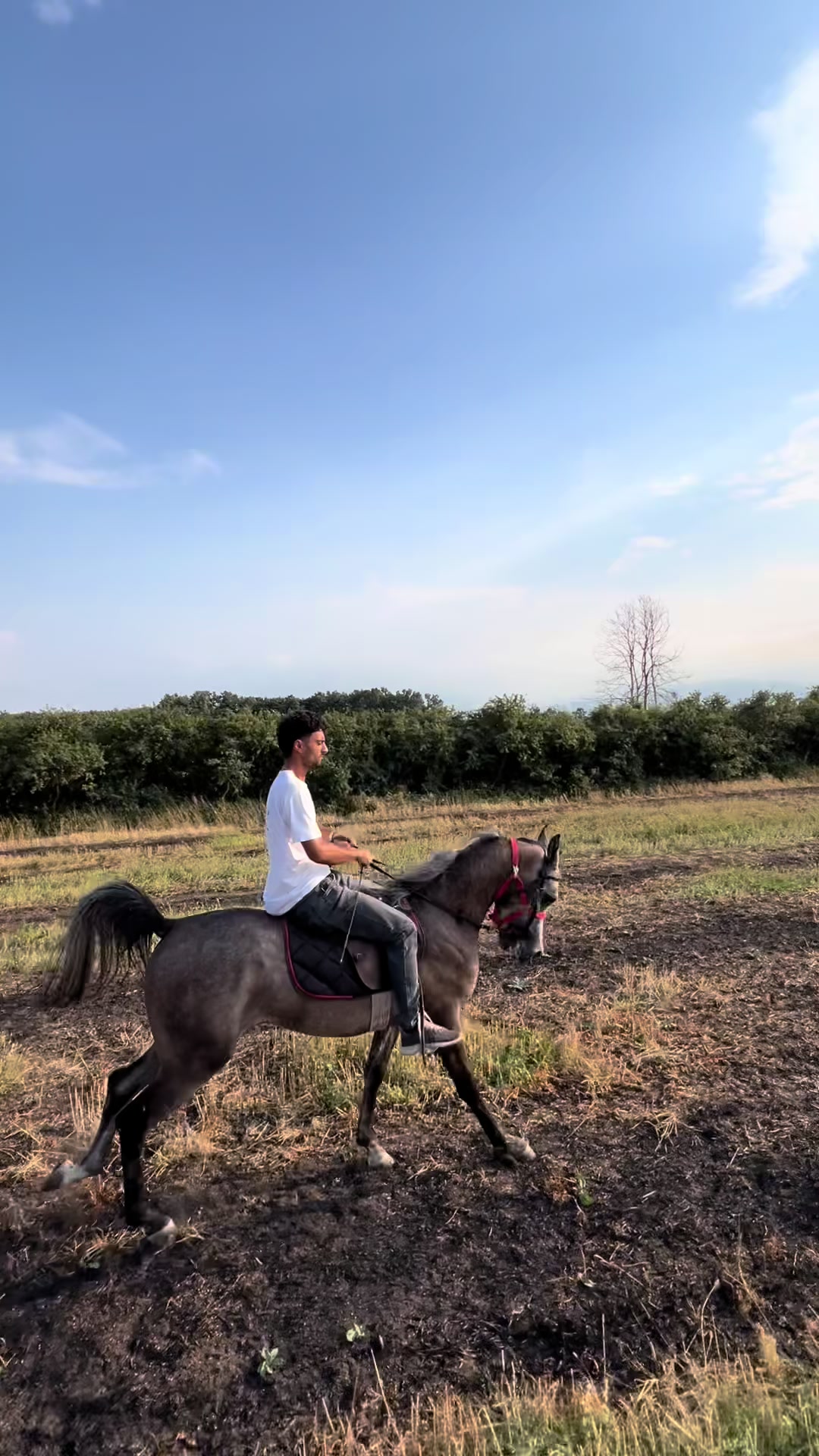 @BERTI RANCH 🐎
