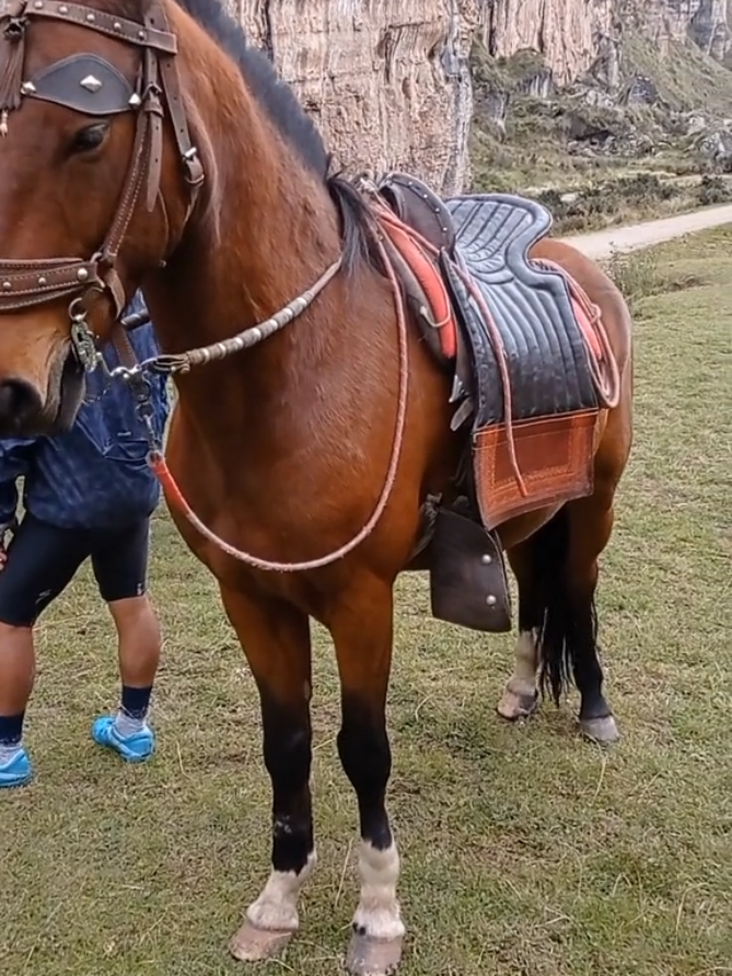 @𝑶𝑺𝑽𝑨𝑳𝑫𝑶. Cc