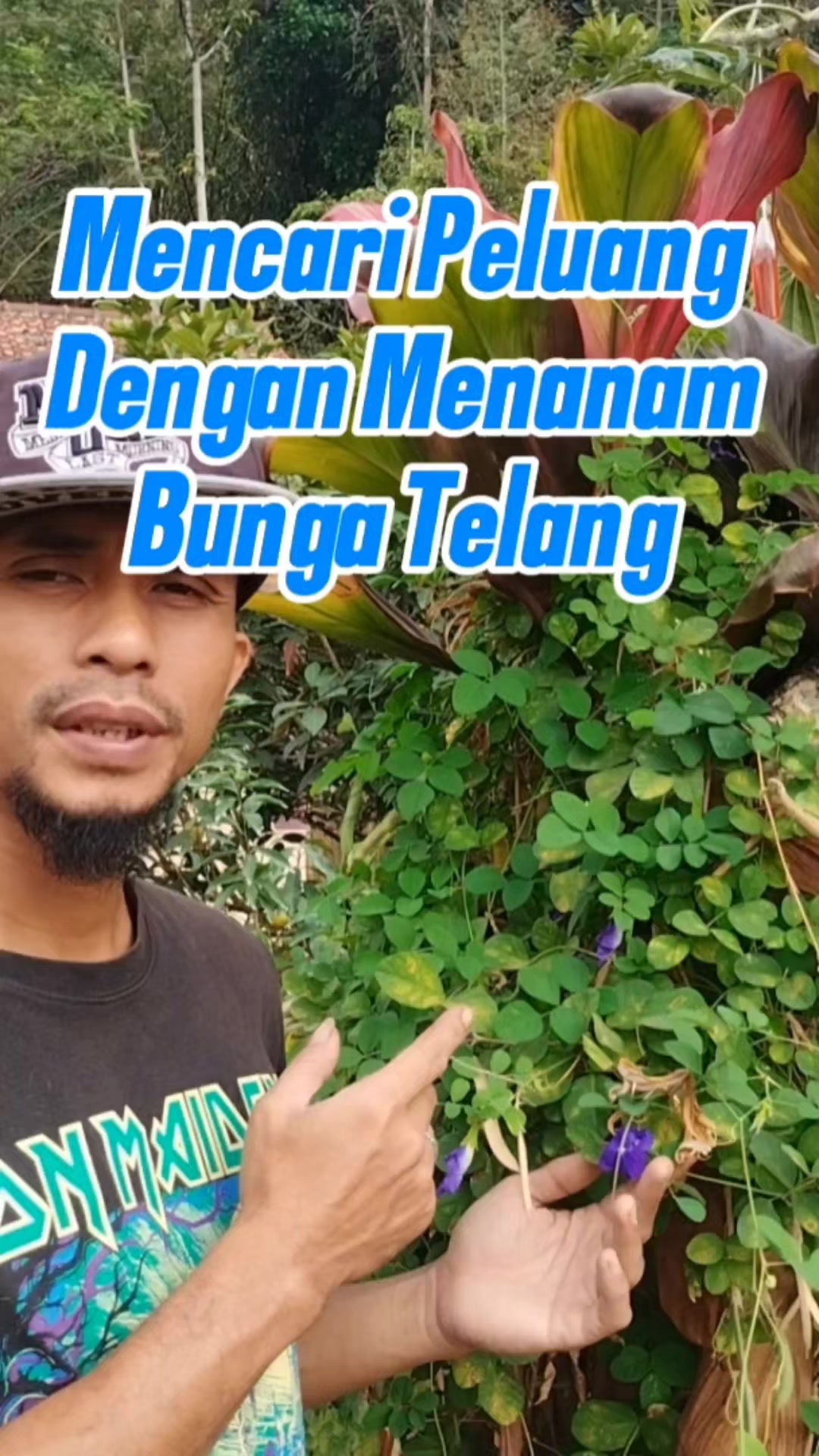 @Bukit Farming