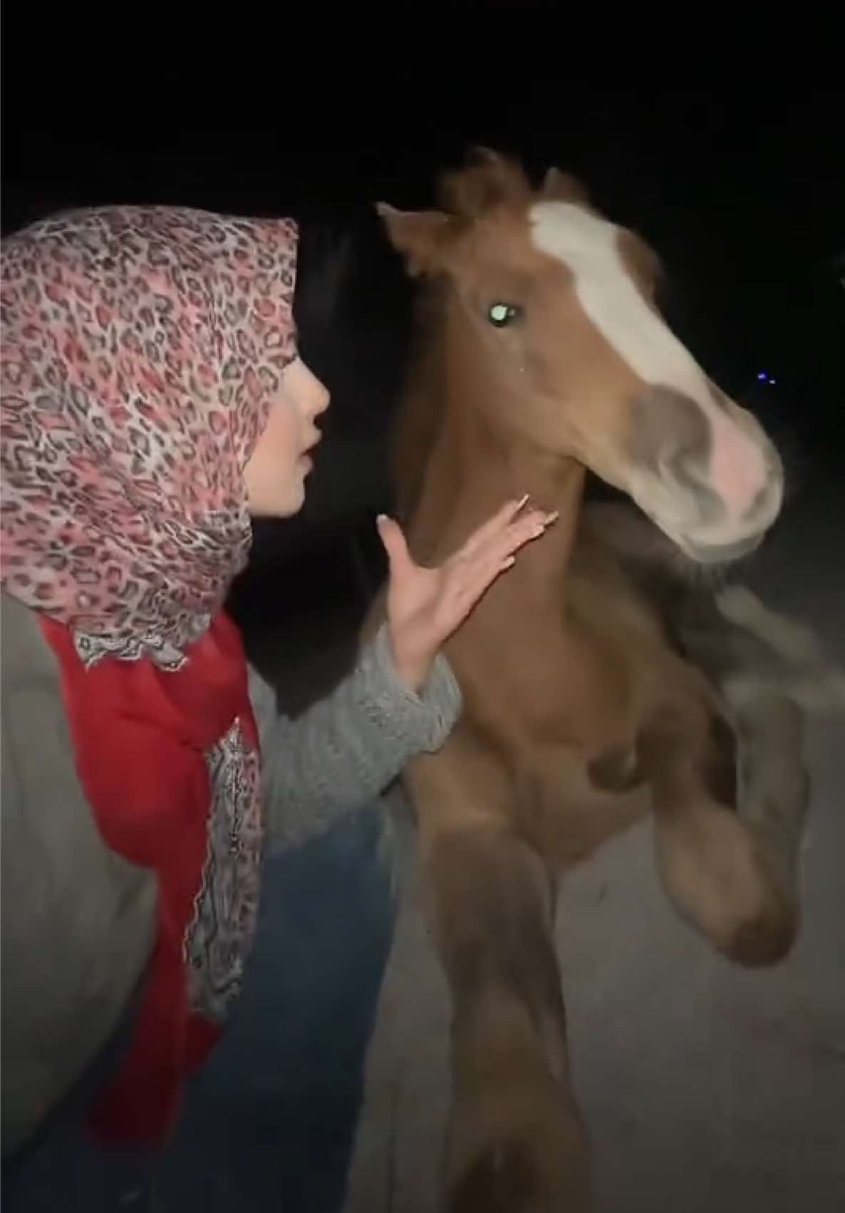 @Ebrar Kurt 🐎
