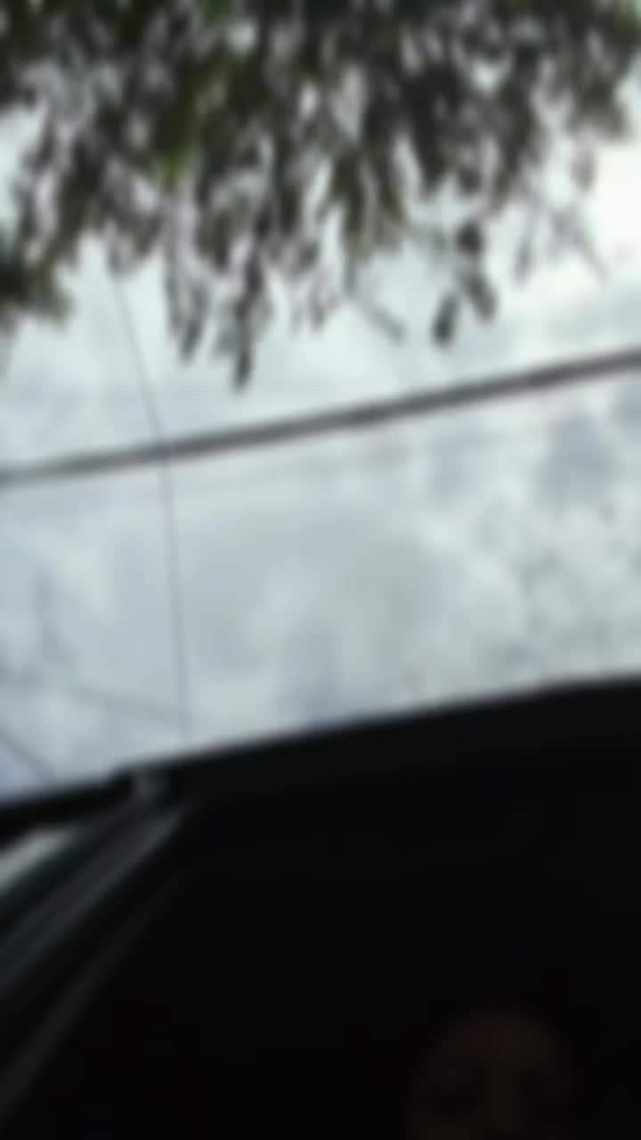 @🕊️