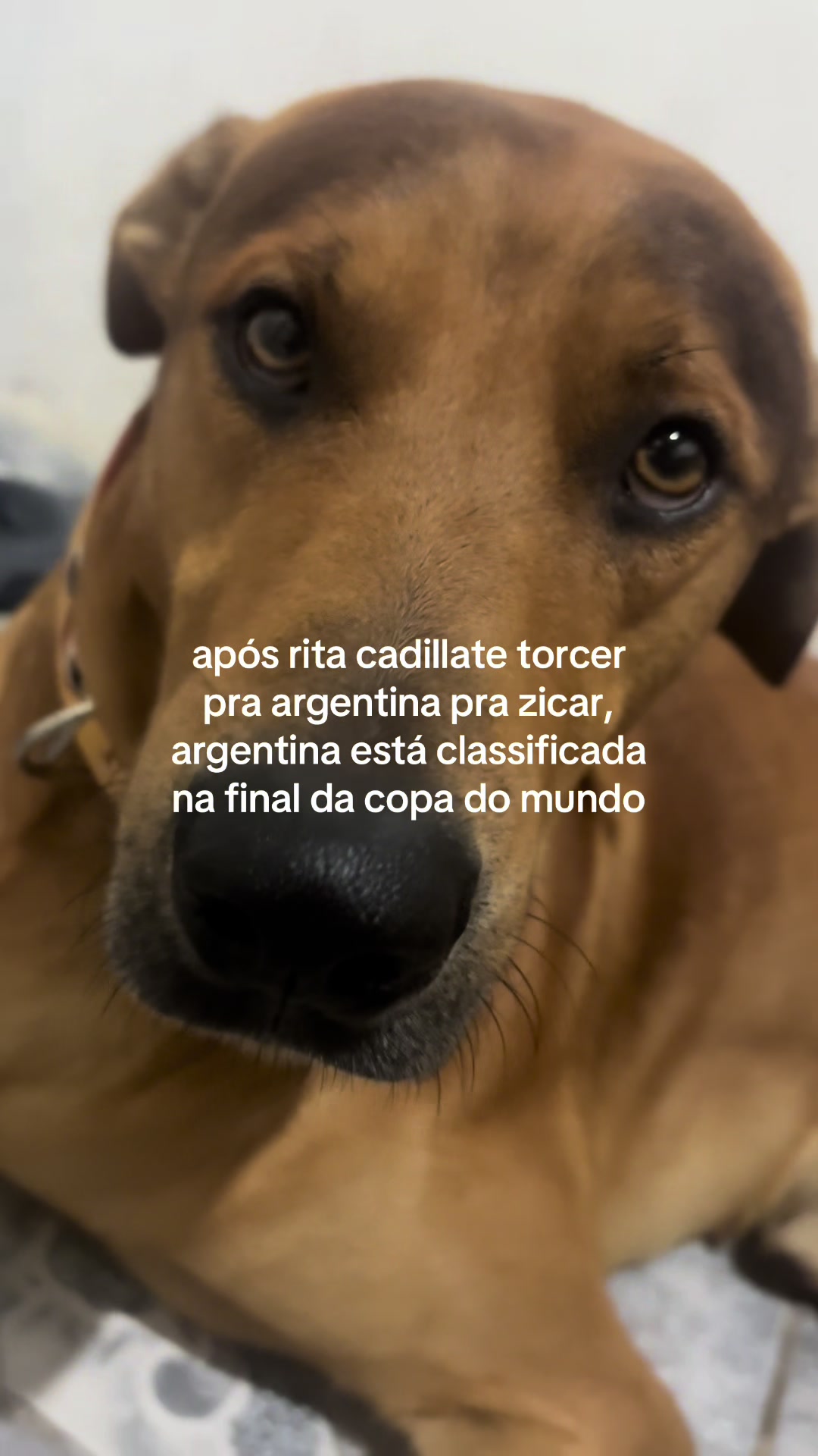 @rita cadillate