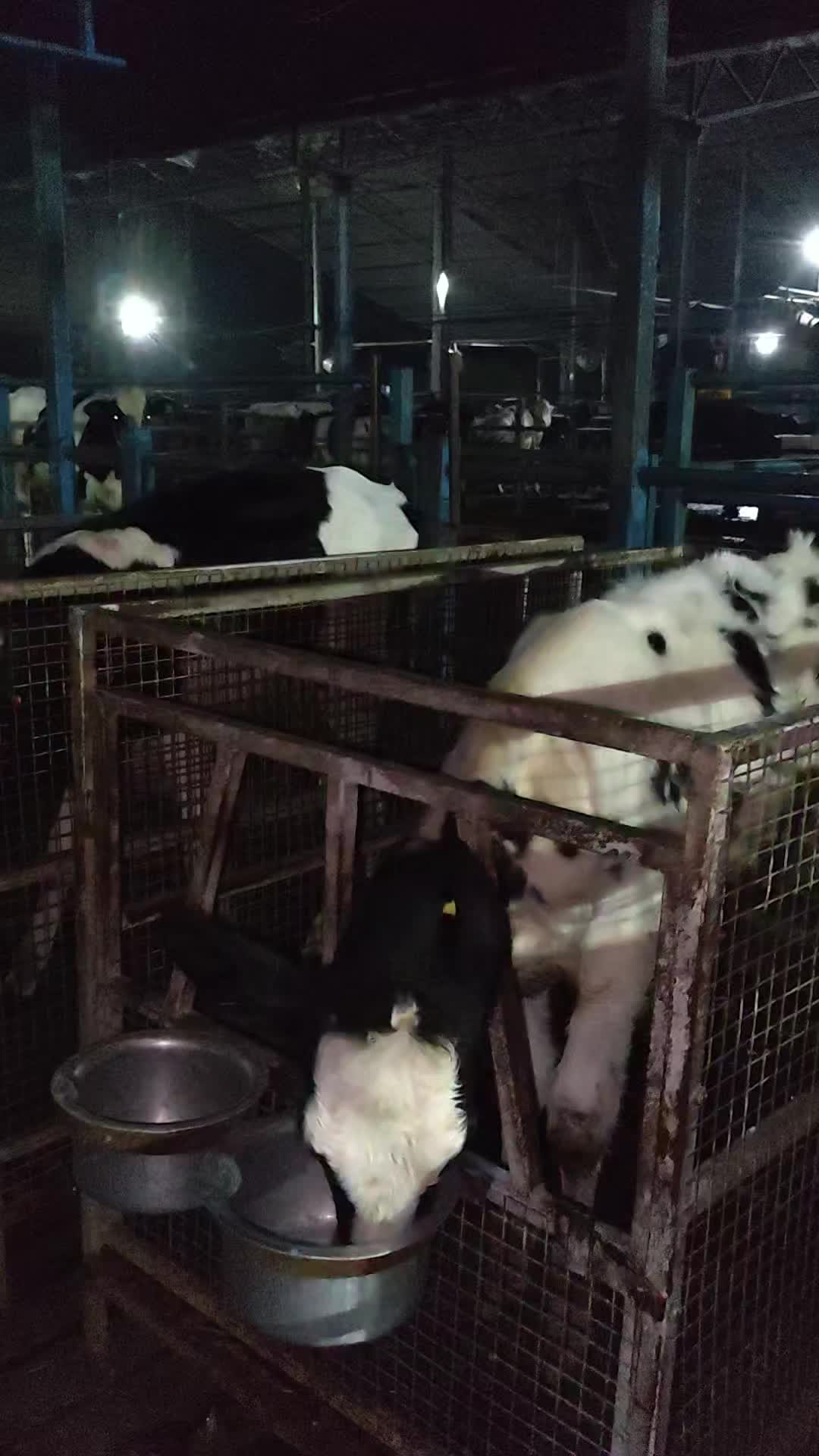 @Banjara Agro