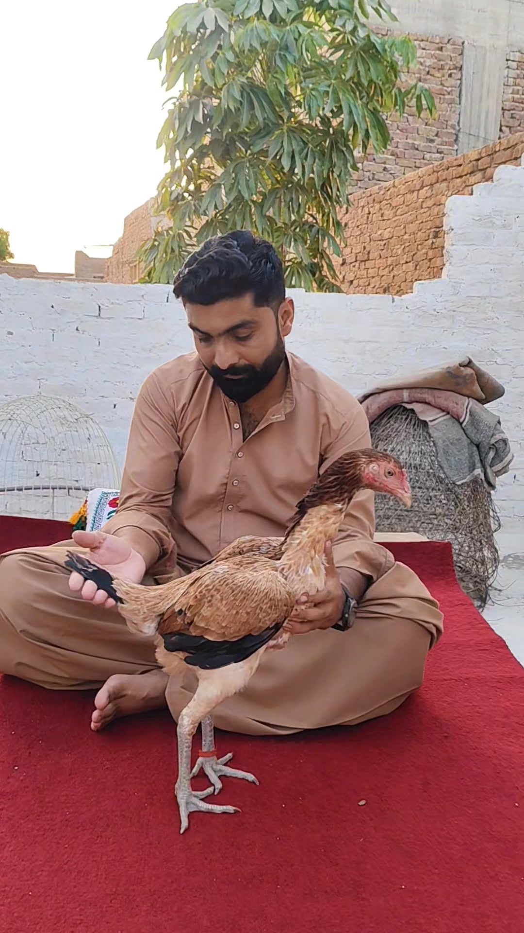 @Ahmad Bhatti