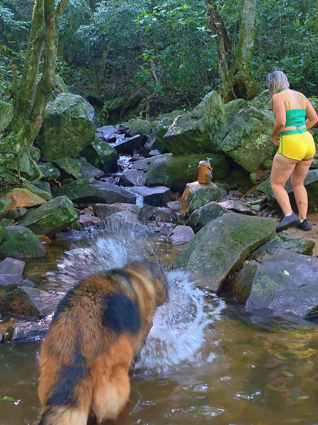 @Brazilian Adventure